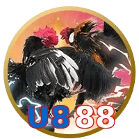 U888